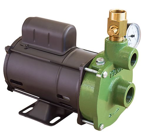 Bomba de Agua Injetora Famac FIG S 3Cv 110/220V Monofasico