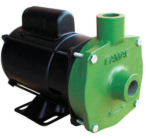 Bomba Centrifuga Famac FSG S 2,0Cv 142mm de Rotor 127/220V Monofasico