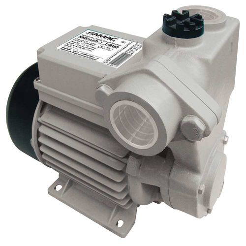 Bomba Autoaspirante Monoestagio FAMAC XKSALM75-1-1,0CV-70MM-BR-127V Monofasico